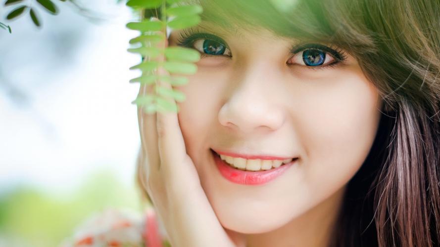 宁夏供港蔬菜实现自营出口“零”突破 告别“曲线出口”模式